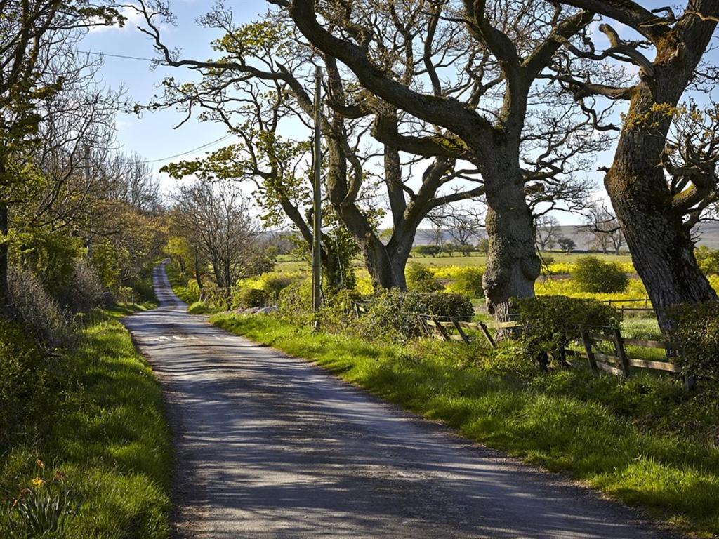 Lily Hill Farm Bed and Breakfast Barnard Castle Εξωτερικό φωτογραφία