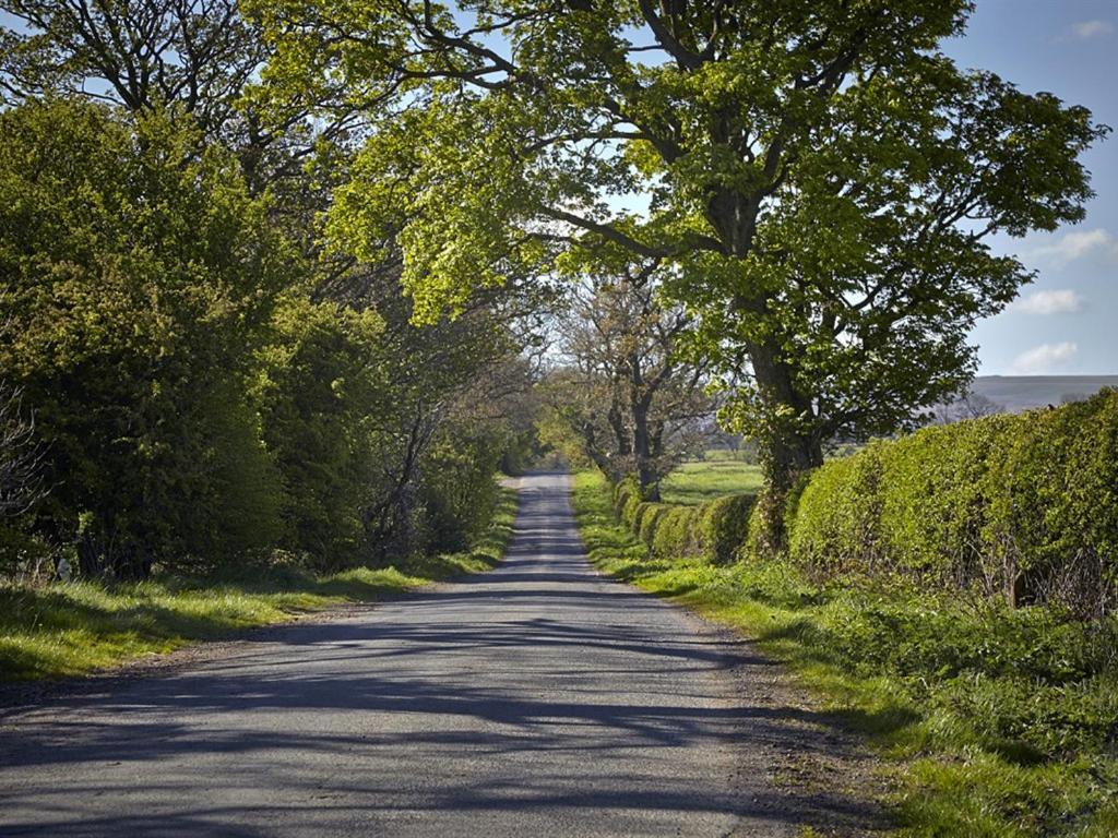 Lily Hill Farm Bed and Breakfast Barnard Castle Εξωτερικό φωτογραφία