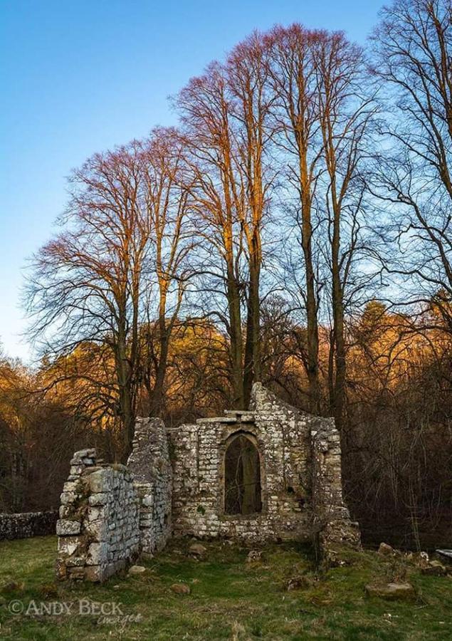 Lily Hill Farm Bed and Breakfast Barnard Castle Εξωτερικό φωτογραφία