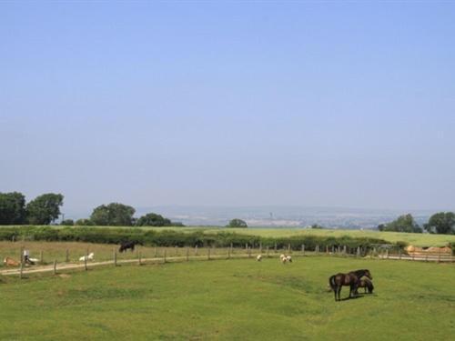 Lily Hill Farm Bed and Breakfast Barnard Castle Εξωτερικό φωτογραφία